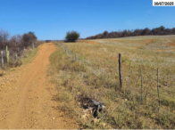 Gleba no Dormentes (foto 3 de 6)