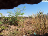 Terreno - 500m² - Brasília/DF, localizado em Brasília - DF, bairro Setor de Armazenagens e Abastecimento (SAAN)
