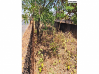 Terreno - 500m² - Brasília/DF, localizado em Brasília - DF, bairro Setor de Armazenagens e Abastecimento (SAAN)