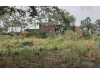 Chácara c/ 9,8519 hectares - Capixaba/AC, localizado em Capixaba - AC