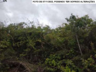 Fazenda - 154,8668ha - Goiatins/TO, localizado em Goiatins - TO, bairro Campos Lindos