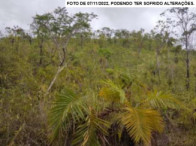 Fazenda - 154,8668ha - Goiatins/TO, localizado em Goiatins - TO, bairro Campos Lindos