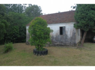 Chácara c/ 8,03 hectares - Linha Fernando Abott, localizado em Barra Do Ribeiro - RS