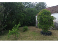 Chácara c/ 8,03 hectares - Linha Fernando Abott, localizado em Barra Do Ribeiro - RS