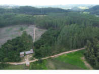 Chácara c/ 8,03 hectares - Linha Fernando Abott, localizado em Barra Do Ribeiro - RS