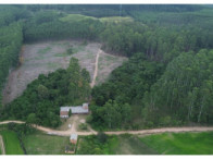 Chácara c/ 8,03 hectares - Linha Fernando Abott, localizado em Barra Do Ribeiro - RS