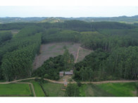 Chácara c/ 8,03 hectares - Linha Fernando Abott, localizado em Barra Do Ribeiro - RS