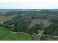 Chácara c/ 8,03 hectares - Linha Fernando Abott, localizado em Barra Do Ribeiro - RS