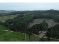 Chácara c/ 8,03 hectares - Linha Fernando Abott, localizado em Barra Do Ribeiro - RS