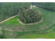 Chácara c/ 8,03 hectares - Linha Fernando Abott, localizado em Barra Do Ribeiro - RS