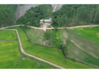 Chácara c/ 8,03 hectares - Linha Fernando Abott, localizado em Barra Do Ribeiro - RS