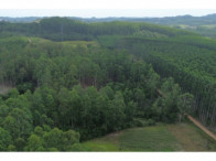 Chácara c/ 8,03 hectares - Linha Fernando Abott, localizado em Barra Do Ribeiro - RS