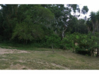 Chácara c/ 8,03 hectares - Linha Fernando Abott, localizado em Barra Do Ribeiro - RS