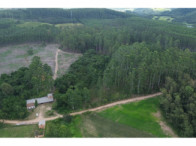 Chácara c/ 8,03 hectares - Linha Fernando Abott, localizado em Barra Do Ribeiro - RS