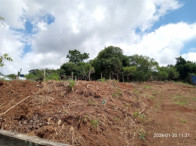 Terreno com 485m² - Loteamento Vila Tarumã, localizado em Viamão - RS