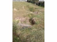Imagem 12