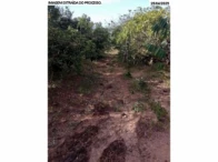 Sítio com 30,9 hectares - Orizona/GO, localizado em Orizona - GO