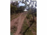 Sítio com 30,9 hectares - Orizona/GO, localizado em Orizona - GO
