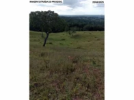 Sítio com 30,9 hectares - Orizona/GO, localizado em Orizona - GO