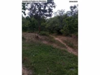 Sítio com 30,9 hectares - Orizona/GO, localizado em Orizona - GO