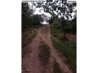 Sítio com 30,9 hectares - Orizona/GO, localizado em Orizona - GO