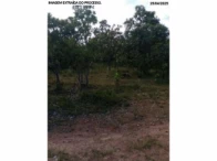 Sítio com 30,9 hectares - Orizona/GO, localizado em Orizona - GO