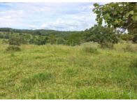 Sítio - 30,90 Hectares - Orizona/GO, localizado em Orizona - GO