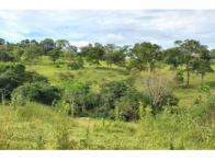 Sítio - 30,90 Hectares - Orizona/GO, localizado em Orizona - GO