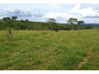 Sítio - 30,90 Hectares - Orizona/GO, localizado em Orizona - GO
