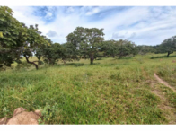 Sítio - 30,90 Hectares - Orizona/GO, localizado em Orizona - GO