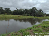 Chácara c/ 4,1242 ha - c/ benfeitorias - Cruzeiro do Sul/AC, localizado em Cruzeiro Do Sul - AC