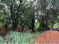 Terrenos - 8.489,10m² - Leopoldina/MG, localizado em Leopoldina - MG, bairro Vale do Sol
