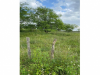 Sítio c/ 11,30 hectares - Minador do Negrão/AL, localizado em Minador Do Negrão - AL