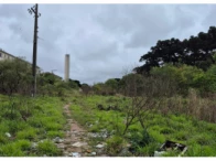 Miniatura 14 de GRANDE TERRENO - 55.955,19m² - SÃO JOSÉ DOS PINHAIS/PR