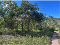 Fazenda c/ 165 hectares - Palmeiras/BA, localizado em Palmeiras - BA