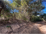 Fazenda c/ 165 hectares - Palmeiras/BA, localizado em Palmeiras - BA