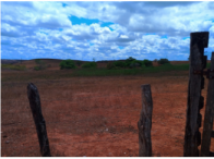 Fazenda Barra c/ 844,2047 ha - Adustina/BA, localizado em Adustina - BA