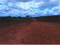 Fazenda Barra c/ 844,2047 ha - Adustina/BA, localizado em Adustina - BA