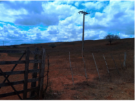 Fazenda Barra c/ 844,2047 ha - Adustina/BA, localizado em Adustina - BA