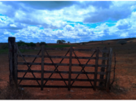 Fazenda Barra c/ 844,2047 ha - Adustina/BA, localizado em Adustina - BA