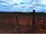 Fazenda Barra c/ 844,2047 ha - Adustina/BA, localizado em Adustina - BA