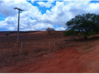 Fazenda Barra c/ 844,2047 ha - Adustina/BA, localizado em Adustina - BA