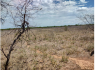 Fazenda c/ 357,6345 ha - Juazeiro/BA, localizado em Juazeiro - BA