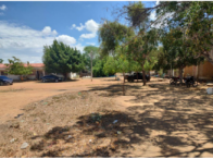 Fazenda c/ 357,6345 ha - Juazeiro/BA, localizado em Juazeiro - BA