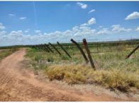 Fazenda c/ 357,6345 ha - Juazeiro/BA, localizado em Juazeiro - BA