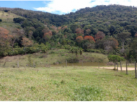 Fazenda Tambau - 44 hectares - Itagi/BA, localizado em Itagi - BA