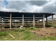 Fazenda Tambau - 44 hectares - Itagi/BA, localizado em Itagi - BA
