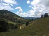 Fazenda Tambau - 44 hectares - Itagi/BA, localizado em Itagi - BA