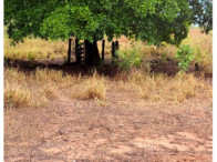 Fazenda Boa Sorte - 102.11.21ha - Formoso/GO, localizado em Formoso - GO