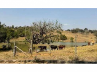 Sítio c/ 64,00,54ha - São Gonçalo do Sapucaí/MG, localizado em São Gonçalo Do Sapucaí - MG
